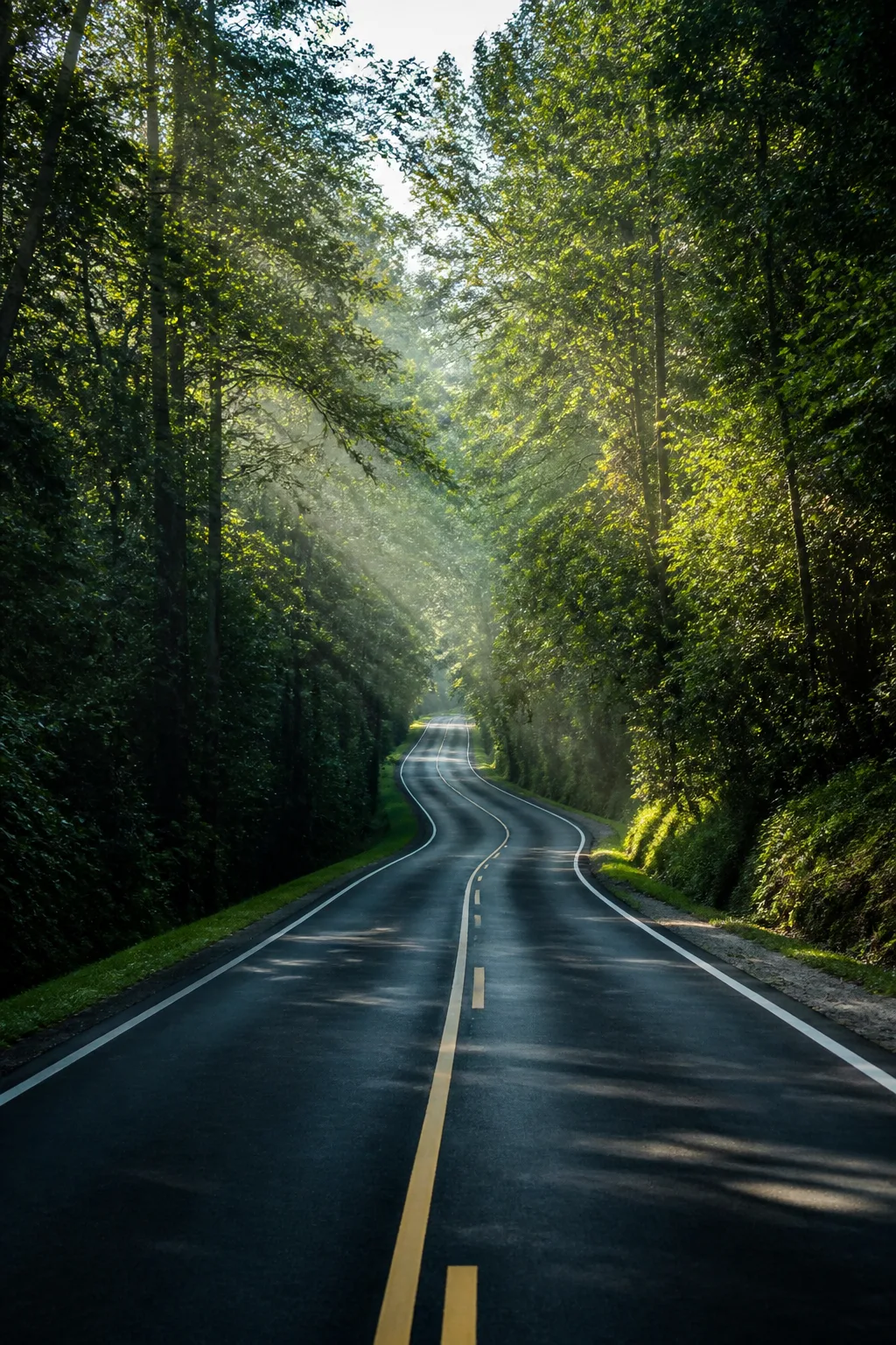 10 Simple Eco-Driving Tips to Save Fuel (or Electricity) Right Away